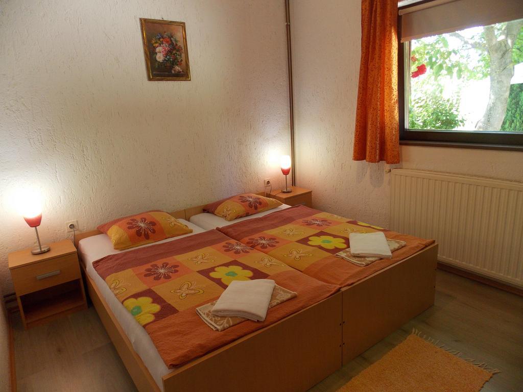 Apartments Smirnov Drežnik Grad Quarto foto